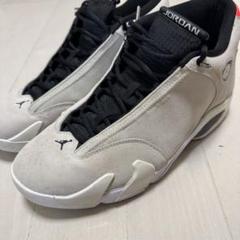 日本未発売カラー　AIRJORDAN14 DESERT SAND 30cm