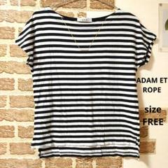 ADAM ET ROPE ボーダー 半袖 Tシャツ フリー