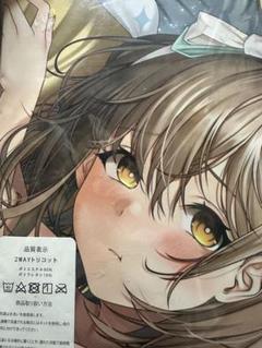 ライザのアトリエ ライザ 抱き枕カバー