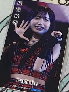 アンジュルム 伊勢鈴蘭 チェキ アンドロイドは夢を見るか ランチェキ おまけ付き アンジュルム 伊勢鈴蘭 チェキ アンドロイドは夢を見るか