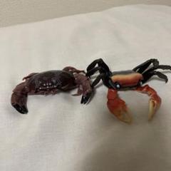 22年最新 アカテガニの人気アイテム メルカリ
