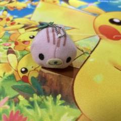 2025年最新】まめゴマ ぬいぐるみの人気アイテム - メルカリ