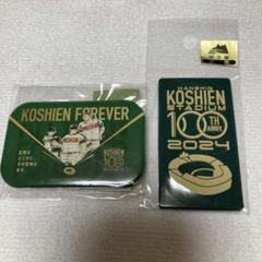 智辯学園甲子園記念品　半ブイ 61rBhSs+uSL._UF350,350_QL50_.jpg