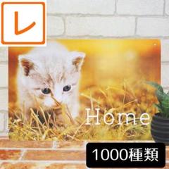 デザイン看板A4】猫 ネコ ポスター★絵イラスト ブリキ看板アメリカン雑貨グッズ