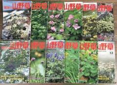 趣味の山野草 全12巻セット 1991年