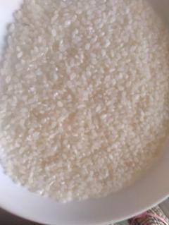 かにょこ埼玉県産 令和6年度彩の絆 お米 24キロ精米済 かにょこ様専用埼玉県産 令和6年度彩の絆 お米 24キロ精米済
