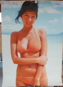 2025年最新】アグネス ラム 水着 ポスターの人気アイテム - メルカリ