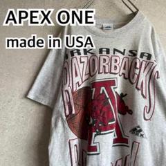超希少 オールド 80s 90s USA製 カレッジロゴ Tシャツ ncaa