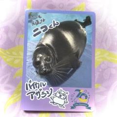 匿名配送】新品未開封 鳥羽水族館 コレクションカード コレカ 10