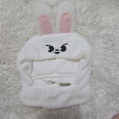 Leebit リノ　ペンライトカバー Stray Kids ペンライトカバー leebit リノ - メルカリ