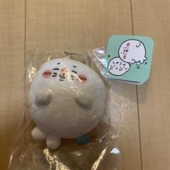 ナガノくじ】アザラシD賞☆ねこのアザラシ☆ねこみみ - メルカリ