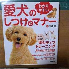 愛犬のしつけとマナー