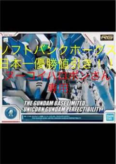 【2点セット】RG 1 1/144 ガンダムベース限定ユニコーンガンダム