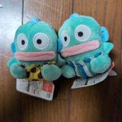 サンリオ - ♥コンプリート♥希少ハンギョドン　パンツコレクション　マスコット　レア パンツ サンリオ - ♥コンプリート♥希少ハンギョドン パンツ