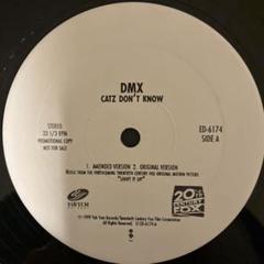 カッコいい‼︎ プロモ‼︎ 美品‼︎ DMX / CATZ DON'T KNOW
