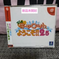 新品未開封 Piaキャロットへようこそ!! 2.5 Dreamcast
