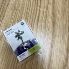 非売品！EXPO2025 大阪　万博　 タイ　ピンバッチ