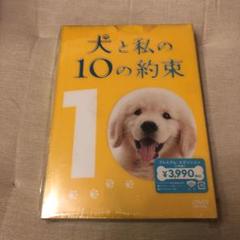 犬と私の10の約束 プレミアム・エディション('08「犬と私の10の約束」フィ…
