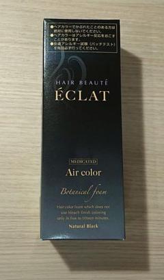 ÉCLAT エアカラー ナチュラルブラック 80g 2箱 41EdwhrElDL.__AC_SR150,300___.jpg