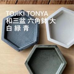 ✨新品✨TOJIKI TONYA 和三盆 六角鉢 白 緑 青 （小）3枚セット
