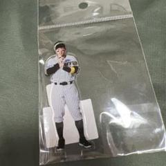 【大学生の特権】学生証で送料無料になる 佐藤輝明 トラフェス アクスタ - メルカリ 応援グッズ