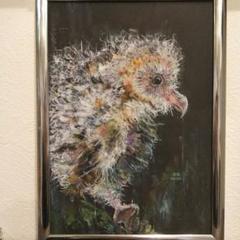 原画 アート 絵画 画家 フクロウ 梟 鳥 雛鳥 小鳥 縁起物 動物 白い鳥 雨 原画 アート 絵画 画家 フクロウ 梟 鳥 雛鳥 小鳥 縁起物 動物