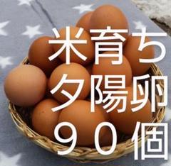 【かっちゃん様さ専用】ガチョウの食用卵　10個セット かっちゃん様さ専用】ガチョウの食用卵 10個セット - メルカリ
