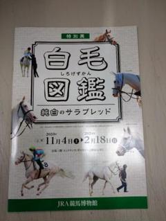 非売品【激レア】東京競馬場のベンチのJRAロゴ