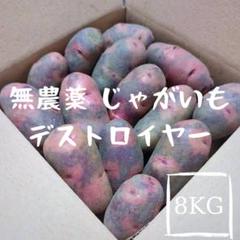 デストロイヤー 新じゃが 掘り立て 栽培期間中 無農薬 無肥料 無農薬栽培じゃがいも【デストロイヤー】☆新じゃが出来ました