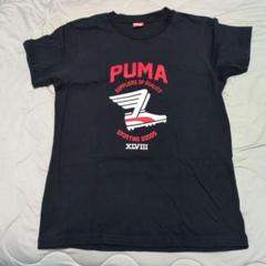 キッズTシャツ 160センチ