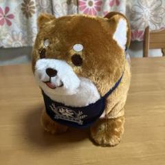 忠犬　もちしばおさんぽリード付き GBぬいぐるみ