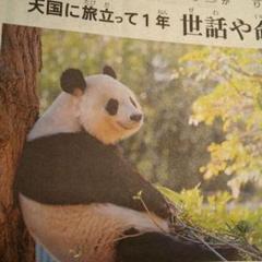 2025年最新】神戸王子動物園パンダの人気アイテム - メルカリ