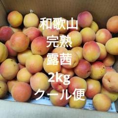 和歌山　露茜　クール便　10kg　連絡先電話番号を必ず連絡を 和歌山 露茜 10kg クール便 連絡先電話番号を必ず連絡を - メルカリ