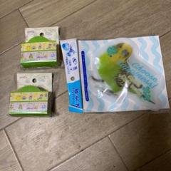 インコちゃん