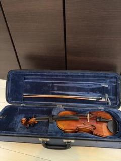 Amazon.com: Crossrock CRF1000DVRE Fiberglass Double Violin