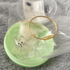 うちの子のけだまだま ノーマル 正規品