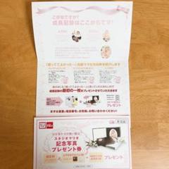 スタジオマリオ 記念写真プレゼント券