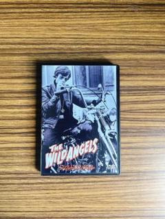 THE WILD ANGELS DVD ワイルドエンジェルス