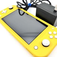 【動作確認済】Nintendo switch lite 任天堂　イエロー
