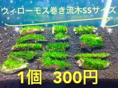 【アクア☆創☆リウム】ウィローモス付流木 SSサイズ 1個(形状おまかせ)