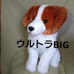 コーイケルホンディエ おでこちゃん おすわり ぬいぐるみ ウルトラBIG べえ