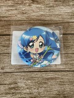 ぴちぴちピッチ オンラインくじ くじ引き堂 D賞 波音 缶バッジ
