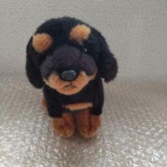 REGALO 犬 ぬいぐるみ 中古品 - メルカリ