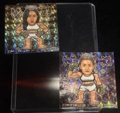 RIZIN ケイト・ロータス RIZIN 韓国 オリジナルシール - メルカリ