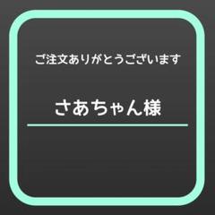 季節の花のお勉強 小学校受験対策 幼児教育