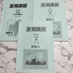 【美品】浜学園 小6 夏期講習 灘コース 教材　2022年度 美品】浜学園 小6 夏期講習 灘コース 教材 2022年度｜本