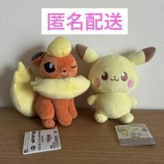 Amazon | ポケモン ぬいぐるみ Halloween Galar Garden