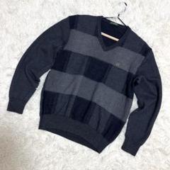 GoldenBear 美品　メンズニット　毛100% Vネック　グレー　（L）