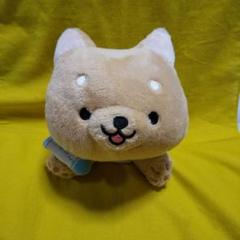 紙タグ付き サンエックス いいわけん くったりぬいぐるみ 2個セット 紙タグ付き サンエックス いいわけん くったりぬいぐるみ 2個
