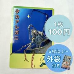 鳥羽水族館　コレカ　10パックセット　70周年記念　メイキラ　セレナ　チェキ風 鳥羽水族館 メイ☆キラ 70周年記念グッズ - メルカリ